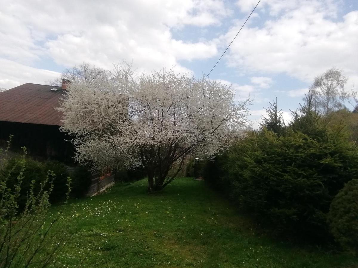 Отель Rzeczne Zacisze Устшики-Дольне Экстерьер фото